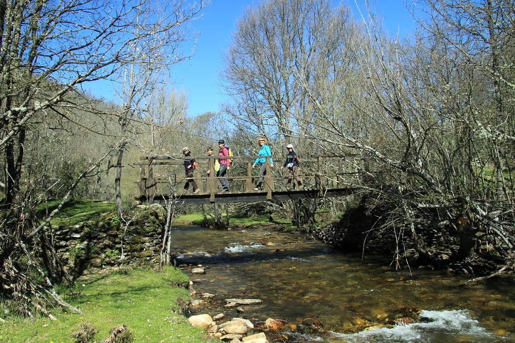 Casa Rural El Abejaruco (Adults Only) Campillo de Ranas Dış mekan fotoğraf